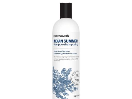 Shampooing Indian Summer Discount