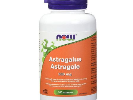 Astragale Hot on Sale