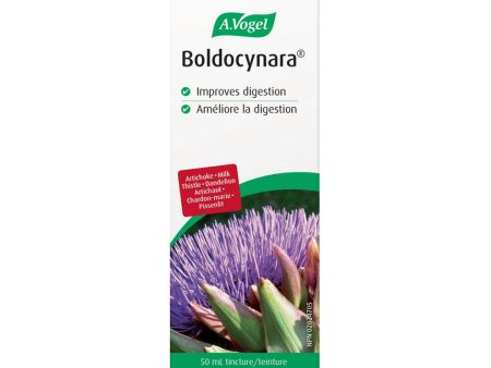 Boldocynara For Sale