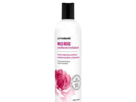 Revitalisant Équilibreur d Hydratation Wild Rose Online