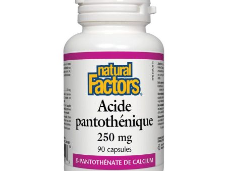 Acide Pantothénique Supply