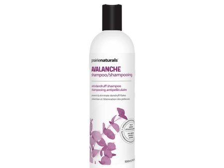 Shampooing Avalanche Online