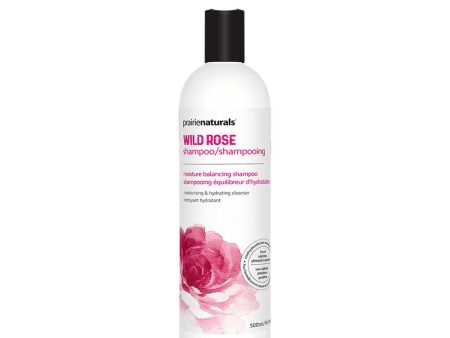 Shampooing Wild Rose Online now