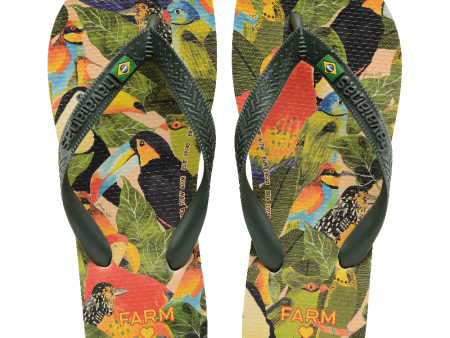 Chinelo Havaianas Farm Folhagens De Pássaros Online