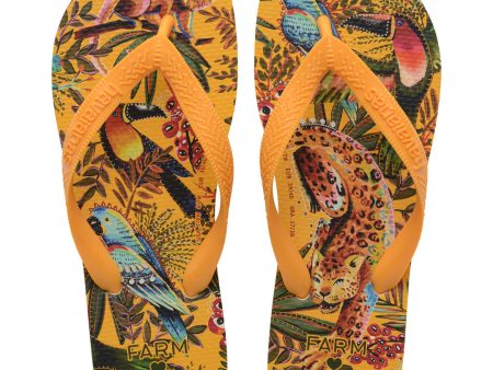 Chinelo Havaianas Farm Selva For Cheap