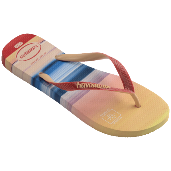 Chinelo Havaianas Top Surf Sessions For Cheap