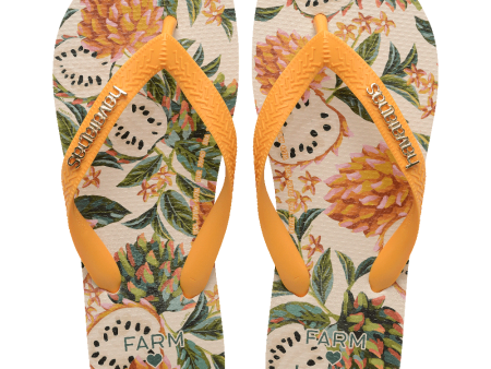 Chinelo Havaianas Farm Biriba Discount