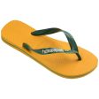 Chinelo Havaianas Brasil Logo Online