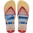 Chinelo Havaianas Top Surf Sessions For Cheap