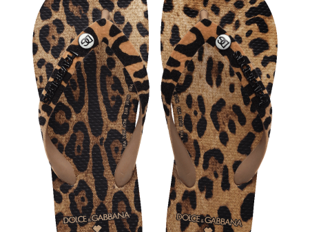 Chinelo Havaianas Dolce&Gabbana Leopard Online