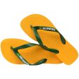 Chinelo Havaianas Brasil Logo Online