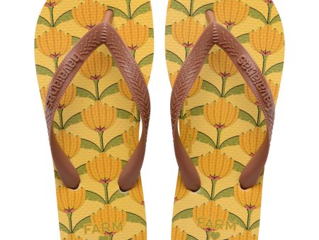 Chinelo Havaianas Farm Banana Deco Fashion